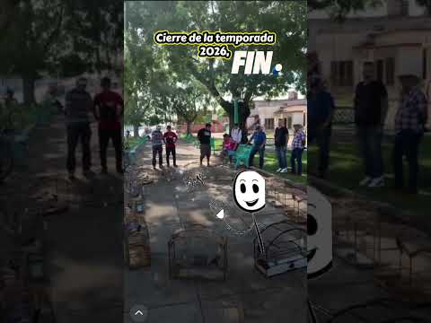 30 de agosto  2026, Parque Juanita, TeamPintico, Ruedo o coro de negrito, ciego d Ávila