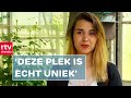 Protestmars maatregelen, charme van verloedering & expositie blikfabriek | Drenthe Nu 6 juni 2021