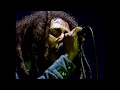 Bob Marley  Live 80 HD  