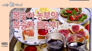 [나는농부다 257회] 복숭아 농부의 복숭아 브런치