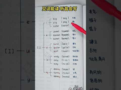 509 背单词快十倍 #知识推荐官 #零基础学音标 #英语自然拼读