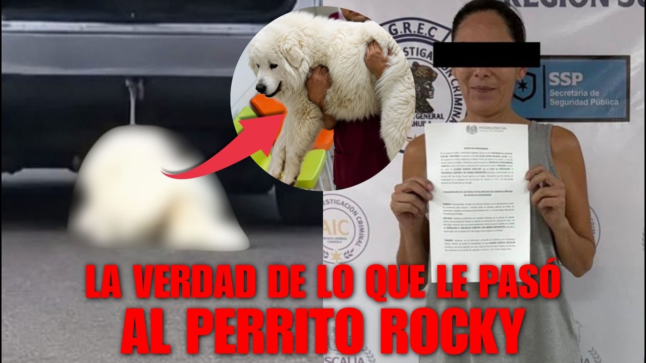 LA VERDAD de lo que LE PASÓ al PERRITO ROCKY... EL CASO que ha INDIGNADO al MUNDO