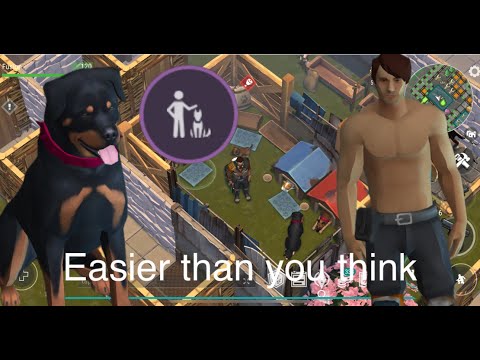 Everything to know about dogs and how to get true friend easily in LDOE