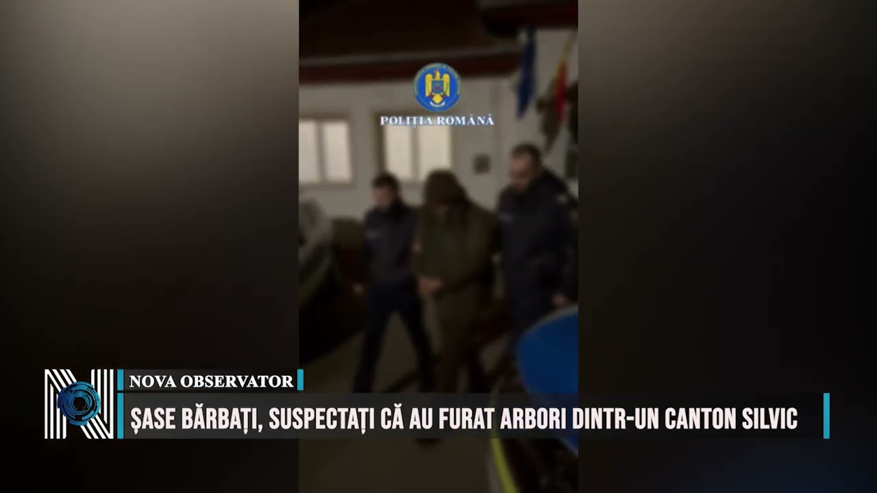 Șase bărbați, suspectați că au furat arbori dintr-un canton silvic