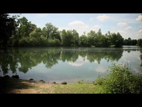 Welcome To The Labyrinth