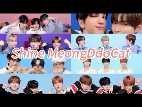 MC Shine MeongDdoCat Challenge Compilation