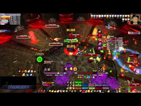 Divergent vs Primordius heroic 10man (paladin pov)