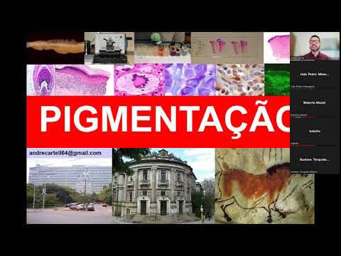 PIGMENTAÇÃO E REVISÃO 2022-1 PATOLOGIA GERAL MEDICINA UFRGS PROFESSOR ANDRÉ CARTELL