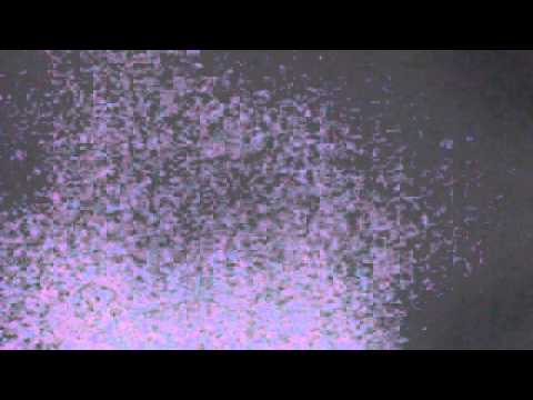 Vídeo de webcam de  8 de outubro de 2014 22:20 (PDT)