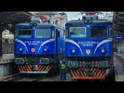 Delfinul, Puma și Pasărea Maiastră