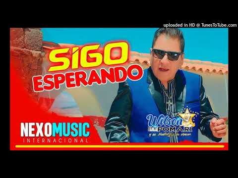 Wilson Pomari - SIGO ESPERANDO  PRIMICIA 2024 REMIXED De Chacal