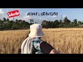 NINA TRAVEL LOG EP2 MY ROLES AS A TRAVELER IN SUPPORTING SUSTAINABLE TOURISM IN MALAYSIA