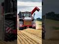 BIG Tractor Chasing Wheat #harvest2023 #agri #bigtractor