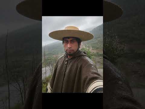 Ilueve en quelón alto de canela en la región de Coquimbo chile