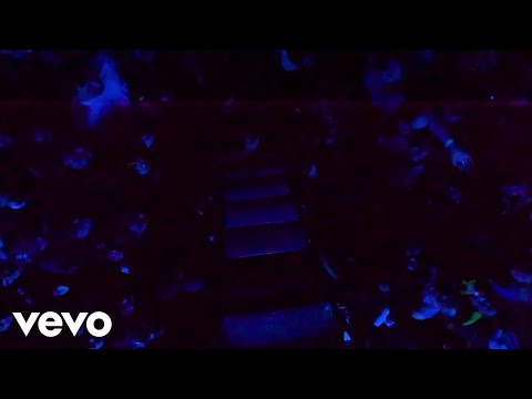 Lorde - Favourite Daughter on Spotify Charts