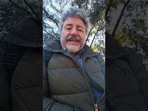 Una NATO senza Usa secondo Chatgpt