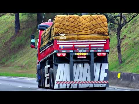 Drika e Forró aperte o play | Os Anjos cantam nosso amor