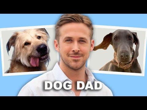 ¡Por qué los perros rescatados de Ryan Gosling te derretirán el corazón!