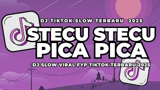 Download lagu DJ STECU STECU X DJ NONA AMBON PICA PICA  VIRAL TIKTOK TERBARU 2025 mp3