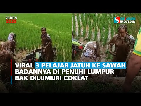 Viral 3 Pelajar Jatuh ke Sawah badannya di penuhi Lumpur Bak Dilumuri Coklat