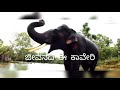 Kannada Nadina Jeevanadi Jeevanadi KannadaRajyotsava Dr Vishnuvardhan Spb Kaveri Karnataka