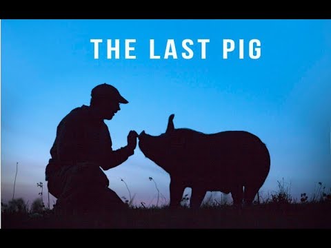 THE LAST PIG | Trailer