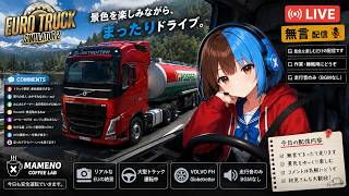 【無言】深夜のEUドライブ。景色と走行音だけ。｜Euro Truck Simulator 2