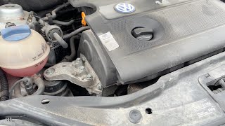 Volkswagen Polo coche | Imagen 4 - Autoline