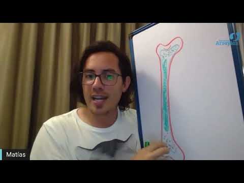 Day 299 Ankles SKELETON Talk - Matias De Stefano -  English Edit