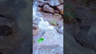 Download lagu Falak Tak Song Tashan | Akshay Kumar,Kareena Kapoor, Udit Narayan, Mahalaxmi Iyer, Vishal-Shekhar mp3 Download lagu Falak Tak Song Tashan | Akshay Kumar,Kareena Kapoor, Udit Narayan, Mahalaxmi Iyer, Vishal-Shekhar mp3