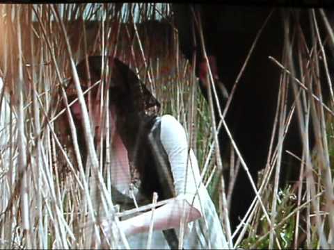 Marianne and Colonel Brandon More Than That