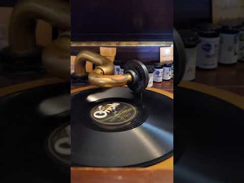 Moonlight on the Rio Grande - Willie Creager and his Orchestra  Oriole Records #1976  1930