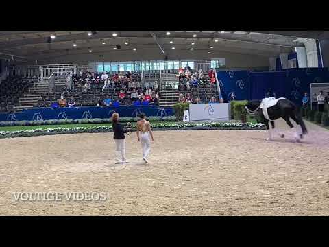 CHIO Aachen 2021 - Janika Derks GER
