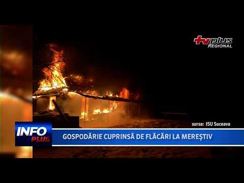 GOSPODARIE CUPRINSA DE FLACARI LA MERESTI