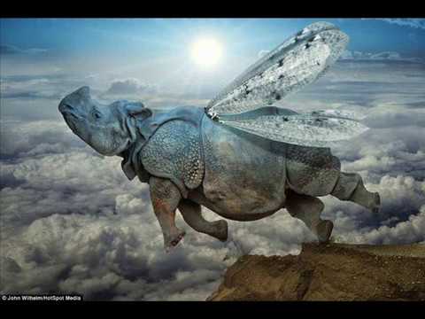 Staré časy - Holka  čapni draka  - cover dle BSP