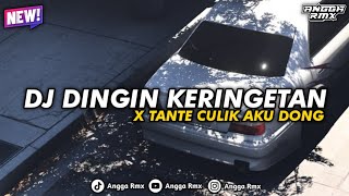 Download lagu DJ DINGIN KERINGETAN X TANTE CULIK AKU DONG || SLOW KUANEE VIRAL TIK TOK TERBARU!!  mp3