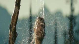 Into de Wild - No Ceiling  - Eddie Vedder (Subtitles english spanish)