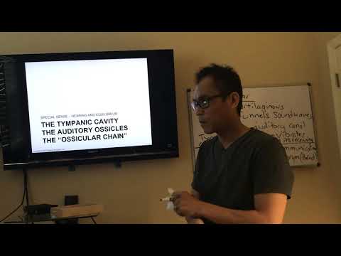 Online lecture EAR