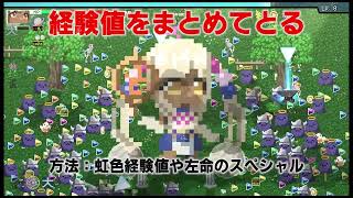 【ホロキュア】パワーレベリング【アチーブメント取得】