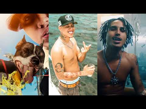 MATUE | TETO | WIU Set Trap