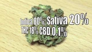 Bubba Kush * Weed * Strain * Review * Amsterdam