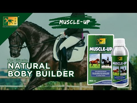 Muscle Up Liquid 