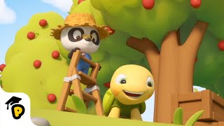 Apple Picking | Autumn Activities | Kids Learning Cartoon | Dr. Panda TotoTime