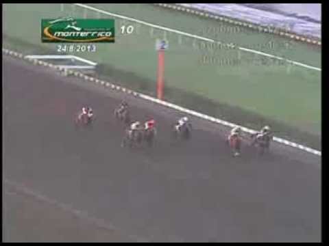 LOLO FOREVER Clásico Pr  'Manuel Checa Solari'