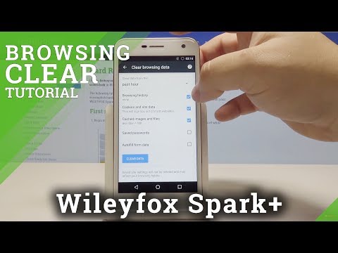 How to Erase Browser History in WILEYFOX Spark+ - Wipe Browser Data