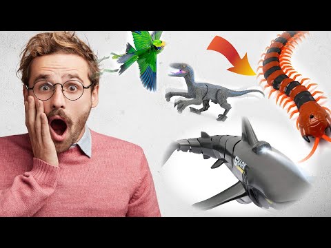 Amazing RC Animals!