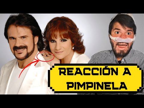 PIMPINELA - REACCIÓN POR PRIMERA VEZ - REACTION