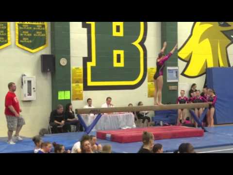Level 9 Gymnastics Dec 12, 2014