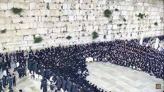 מרן רבינו שליט"א בכותל המערבי- ניגוני דביקות וגאולה- ערב יו"ט שבועות תשפ"ג