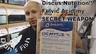 Feeding Discus Proper Nutrition and Fulvic Acid